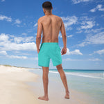 Load image into Gallery viewer, Men&#39;s Swim Trunks
