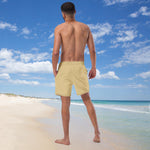 Load image into Gallery viewer, Men&#39;s Swim Trunks
