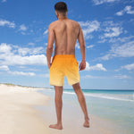 Load image into Gallery viewer, Men&#39;s Swim Trunks
