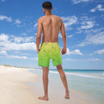 Load image into Gallery viewer, Men&#39;s Swim Trunks
