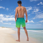 Load image into Gallery viewer, Men&#39;s Swim Trunks
