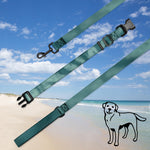 Load image into Gallery viewer, Pet collar &amp; leash
