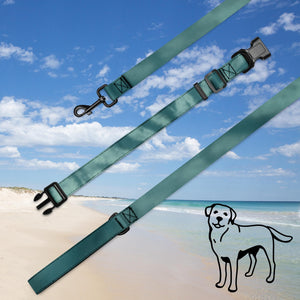 Pet collar & leash