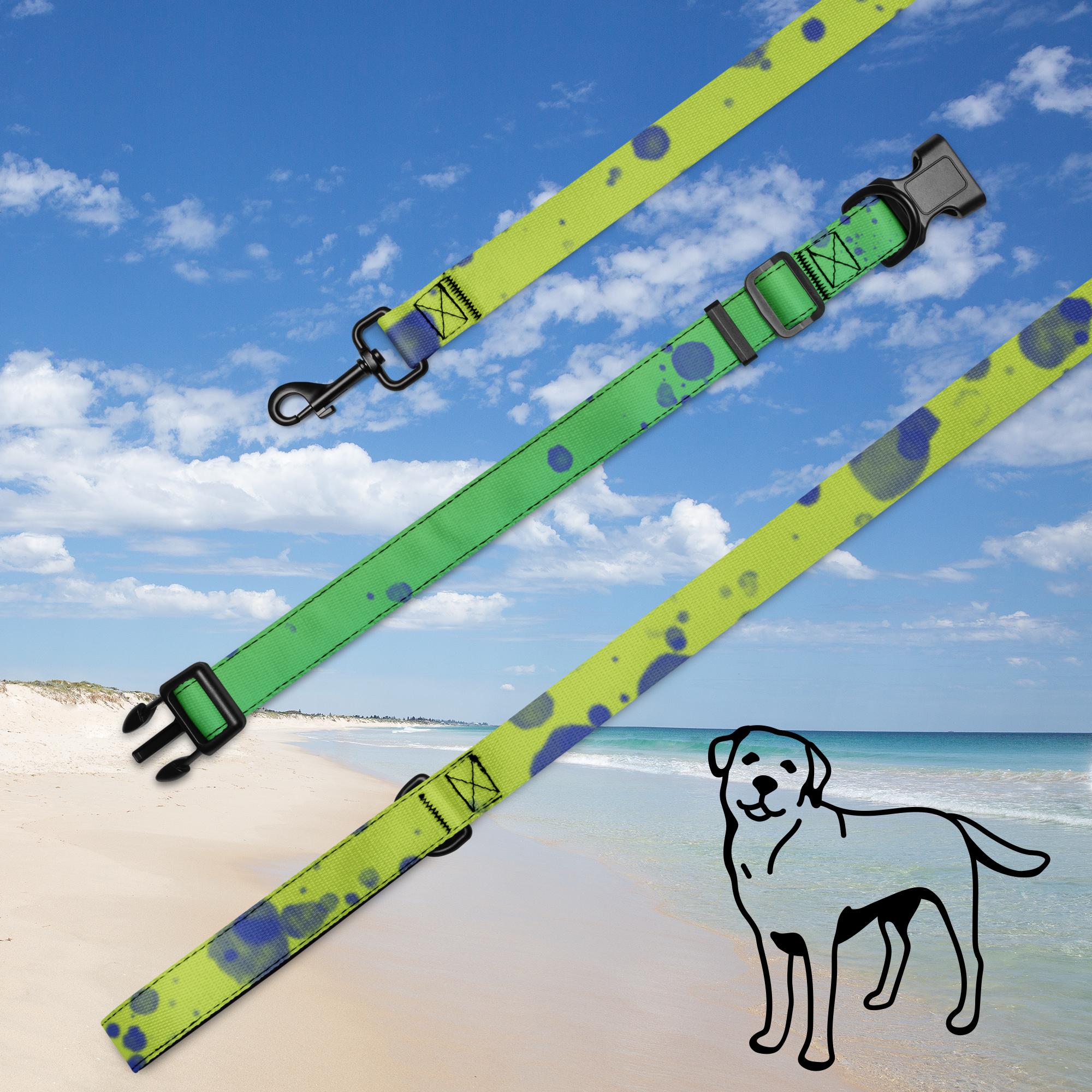 Pet collar & leash