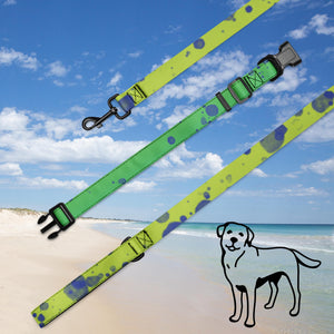 Pet collar & leash