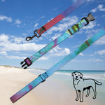 Load image into Gallery viewer, Pet collar &amp; leash
