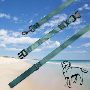 Pet collar & leash