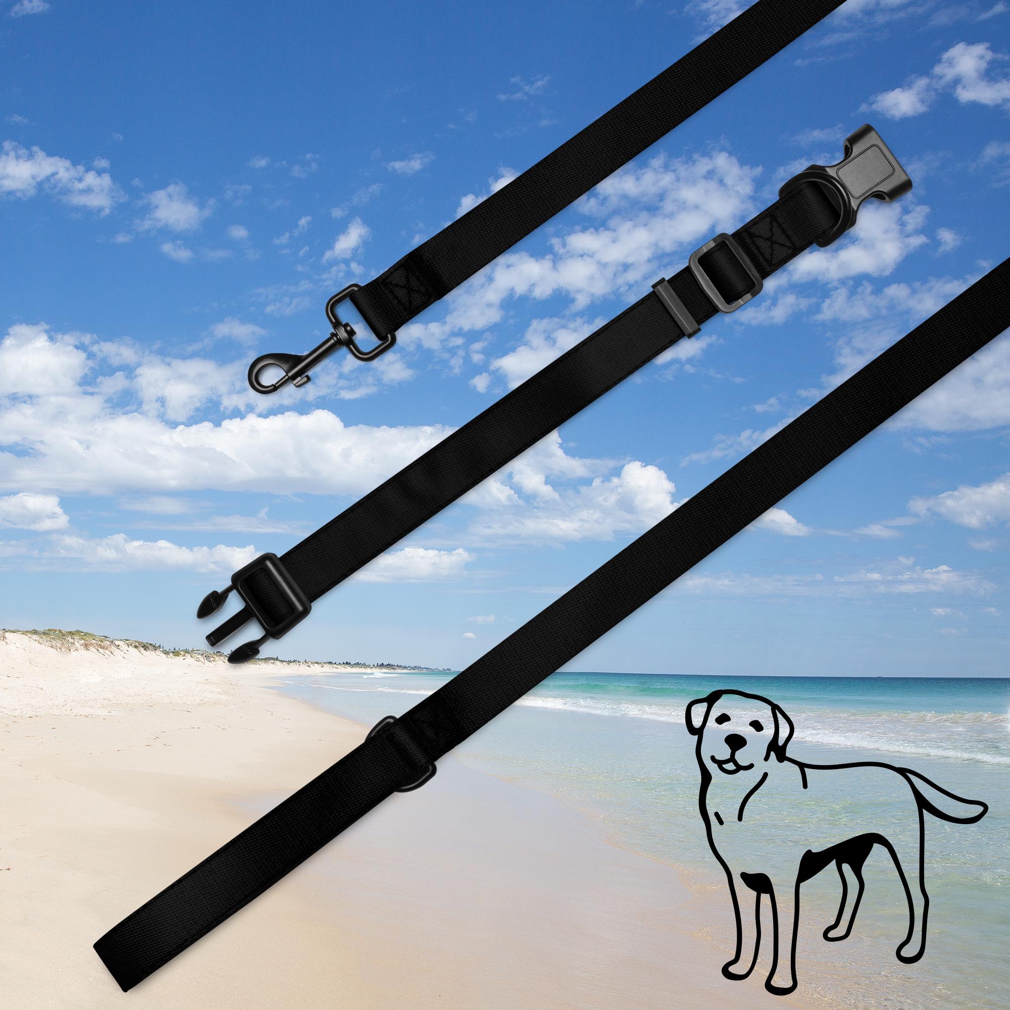 Pet collar & leash