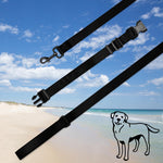 Load image into Gallery viewer, Pet collar &amp; leash

