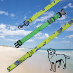 Load image into Gallery viewer, Pet collar &amp; leash

