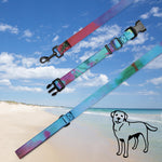 Load image into Gallery viewer, Pet collar &amp; leash
