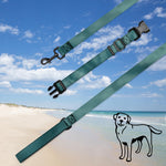 Load image into Gallery viewer, Pet collar &amp; leash
