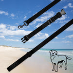 Load image into Gallery viewer, Pet collar &amp; leash
