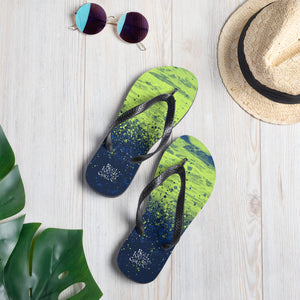 Flip-Flops